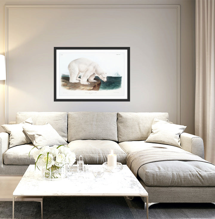 Polar Bears by John Woodhouse Audubon - American Natural History Stretched Canvas or Art Print