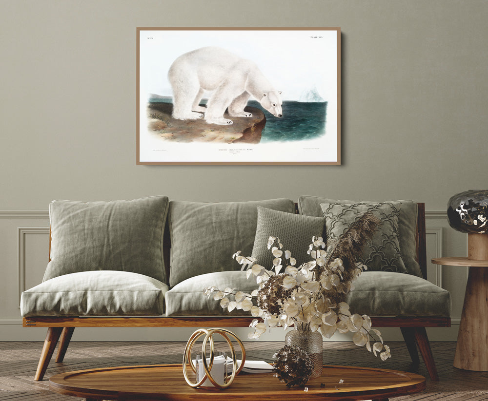 Polar Bears by John Woodhouse Audubon - American Natural History Stretched Canvas or Art Print
