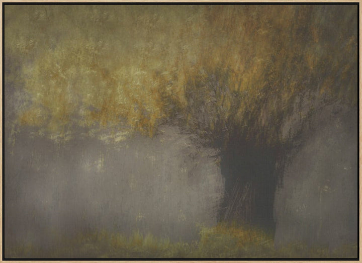 Pollard willow - Stretched Canvas, Poster or Fine Art Print I Heart Wall Art