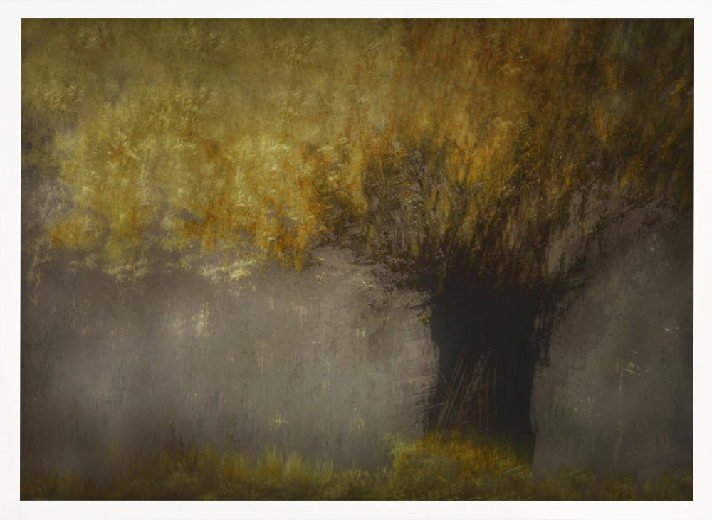 Pollard willow - Stretched Canvas, Poster or Fine Art Print I Heart Wall Art