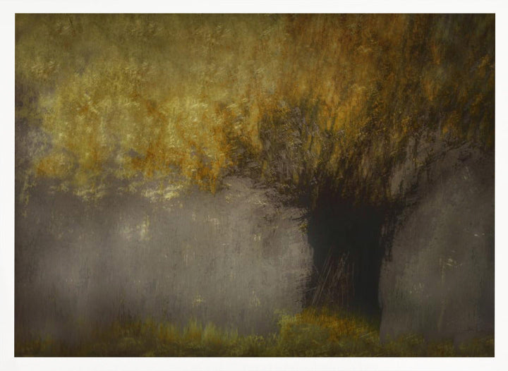 Pollard willow - Stretched Canvas, Poster or Fine Art Print I Heart Wall Art