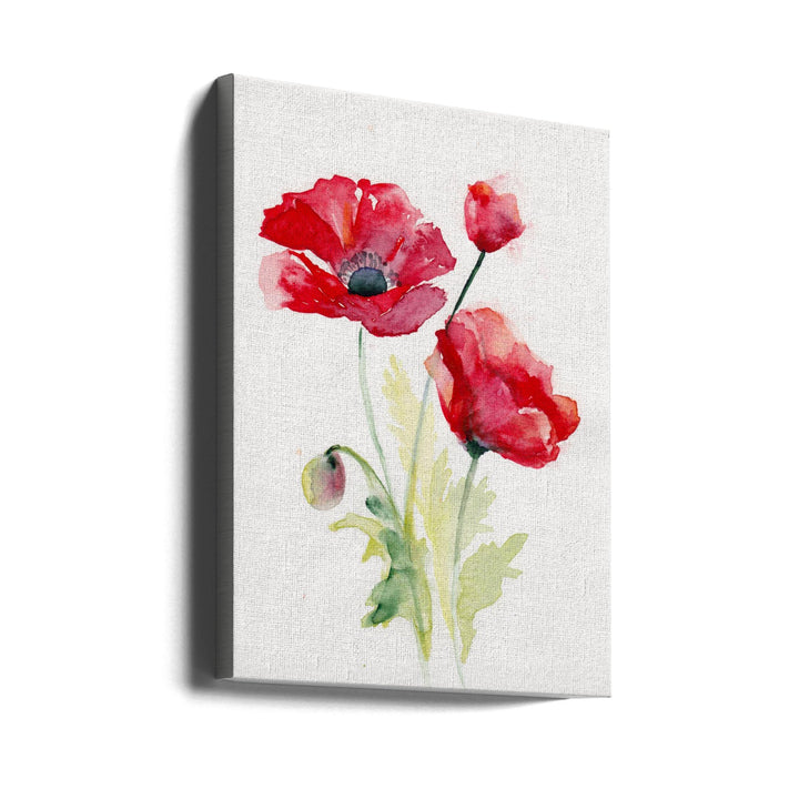 Poppy August - Stretched Canvas, Poster or Fine Art Print I Heart Wall Art