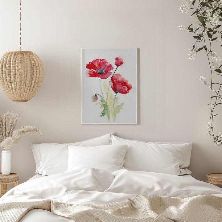 Poppy August - Stretched Canvas, Poster or Fine Art Print I Heart Wall Art