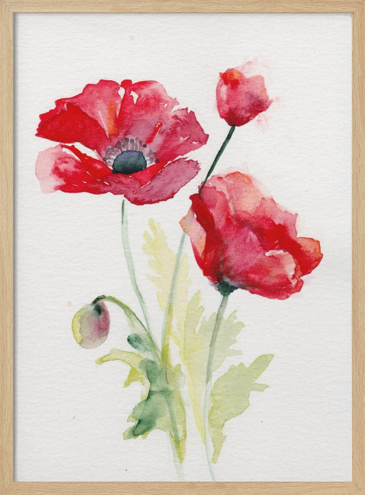 Poppy August - Stretched Canvas, Poster or Fine Art Print I Heart Wall Art