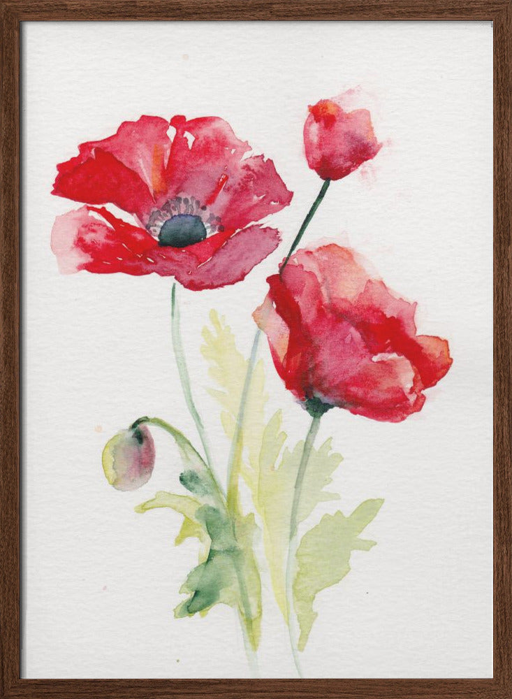 Poppy August - Stretched Canvas, Poster or Fine Art Print I Heart Wall Art