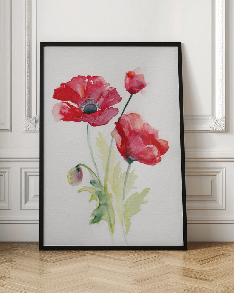 Poppy August - Stretched Canvas, Poster or Fine Art Print I Heart Wall Art