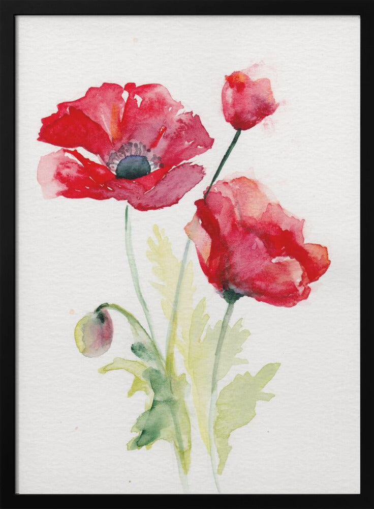 Poppy August - Stretched Canvas, Poster or Fine Art Print I Heart Wall Art