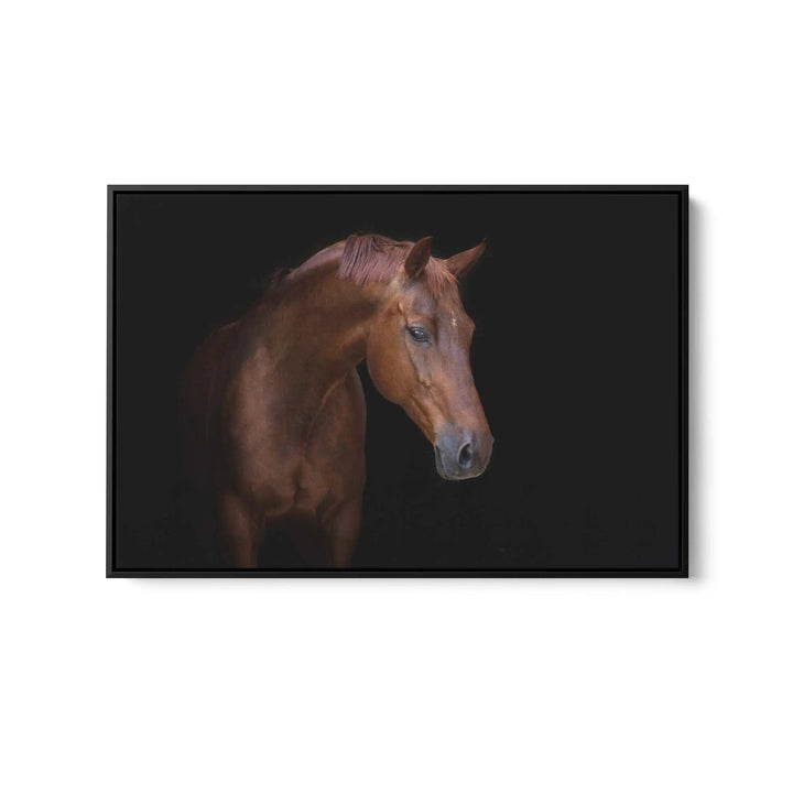 Portrait of a Stallion - Stretched Canvas, Poster or Fine Art Print (Copy) I Heart Wall Art
