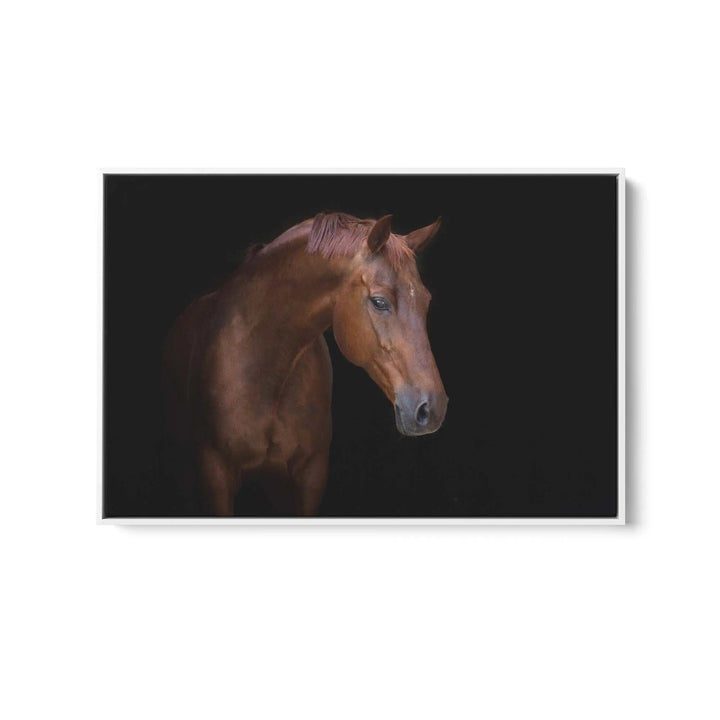 Portrait of a Stallion - Stretched Canvas, Poster or Fine Art Print (Copy) I Heart Wall Art