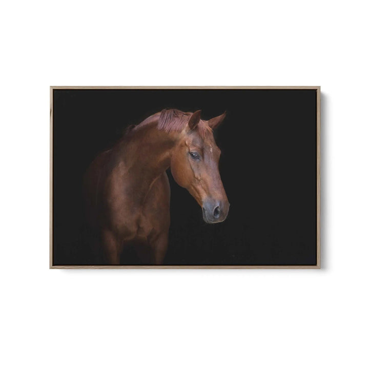 Portrait of a Stallion - Stretched Canvas, Poster or Fine Art Print (Copy) I Heart Wall Art