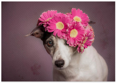 Mrs. Spring - Stretched Canvas, Poster or Fine Art Print I Heart Wall Art