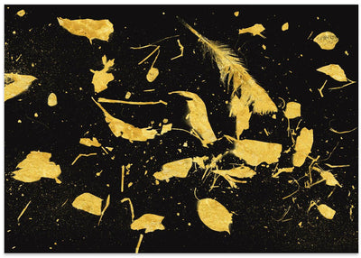 Gold Dust - Stretched Canvas, Poster or Fine Art Print I Heart Wall Art