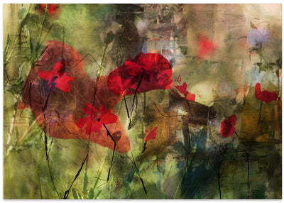 Poppies - Stretched Canvas, Poster or Fine Art Print I Heart Wall Art