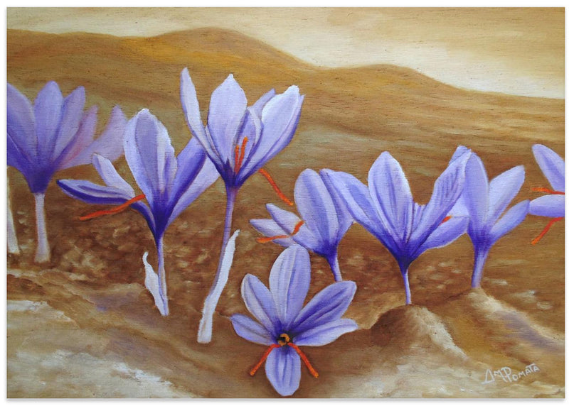 Saffron Flowers - Stretched Canvas, Poster or Fine Art Print I Heart Wall Art
