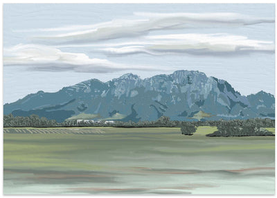 &#039;Veiled In Shadows, Rooted In Vines&#039;, Stellenbosch, South Africa - Stretched Canvas, Poster or Fine Art Print I Heart Wall Art