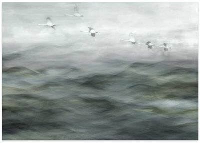 Swan Lake - Stretched Canvas, Poster or Fine Art Print