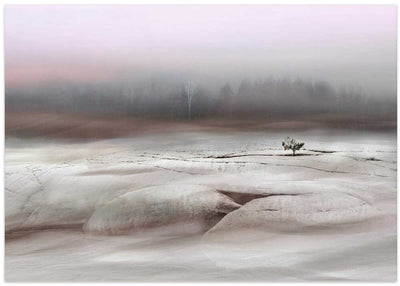 Solitude in White - Stretched Canvas, Poster or Fine Art Print
