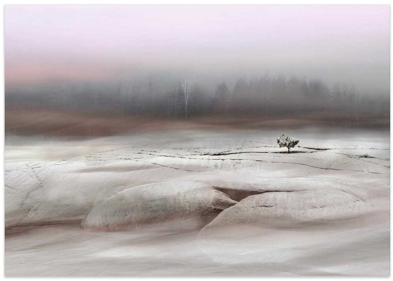 Solitude in White - Stretched Canvas, Poster or Fine Art Print