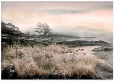 Morning Frost - Stretched Canvas, Poster or Fine Art Print