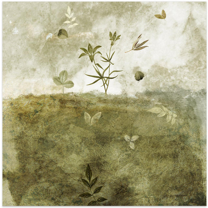 Olive - Square Stretched Canvas, Poster or Fine Art Print I Heart Wall Art