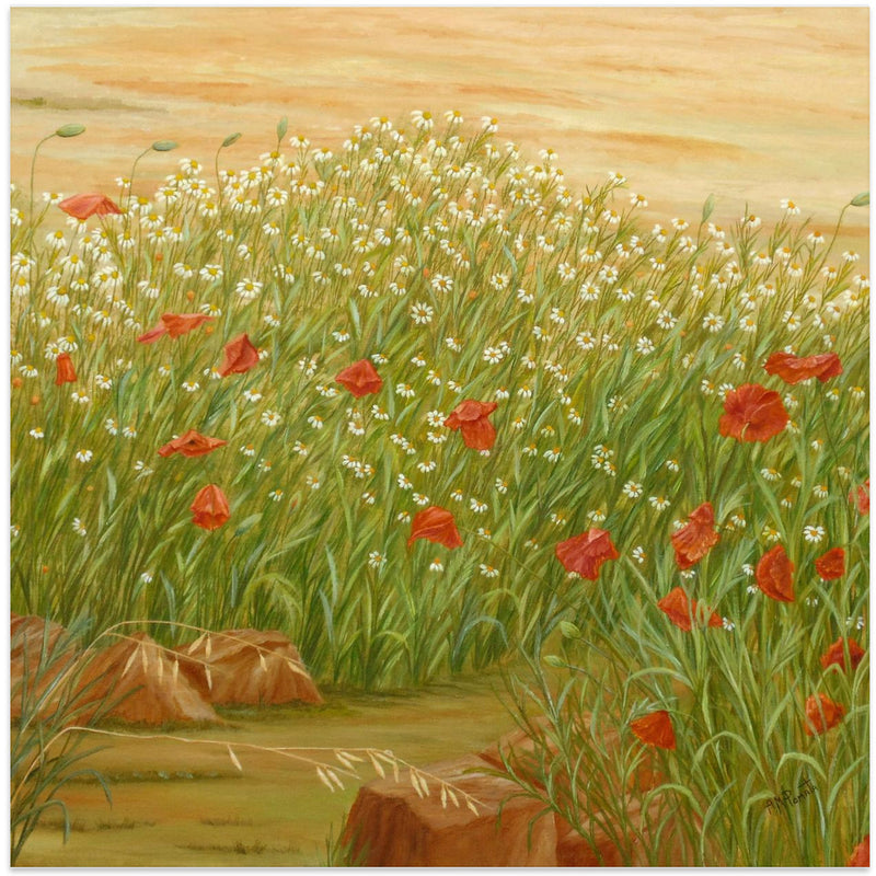 Daisies and  Poppies - Square Stretched Canvas, Poster or Fine Art Print I Heart Wall Art