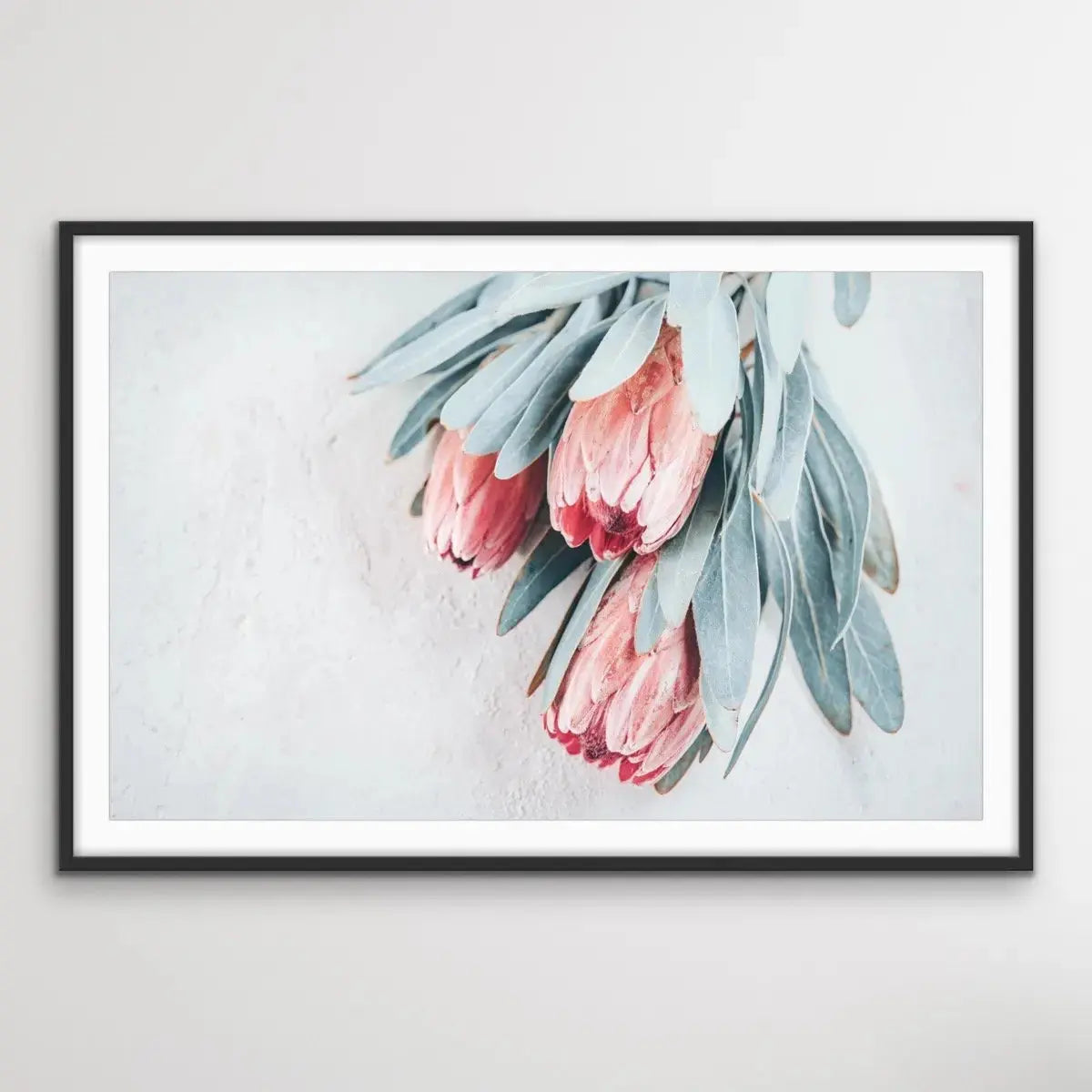 Protea Bunch - Australian Native Eucalyptus Art Print Stretched Canvas Wall Art - I Heart Wall Art