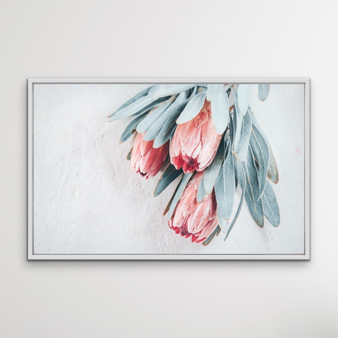 Protea Bunch - Australian Native Eucalyptus Art Print Stretched Canvas Wall Art - I Heart Wall Art