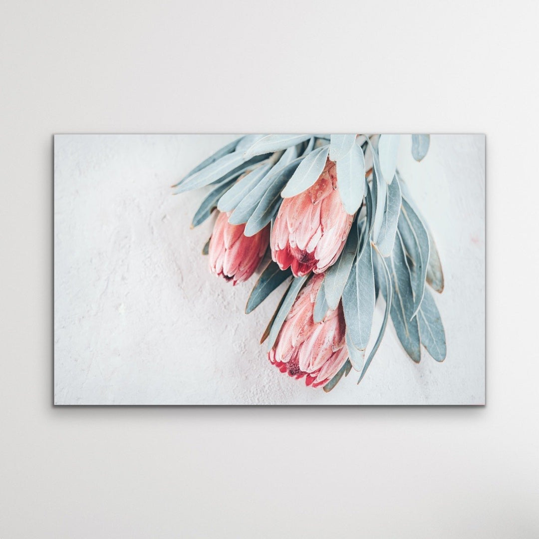 Protea Bunch - Australian Native Eucalyptus Art Print Stretched Canvas Wall Art - I Heart Wall Art