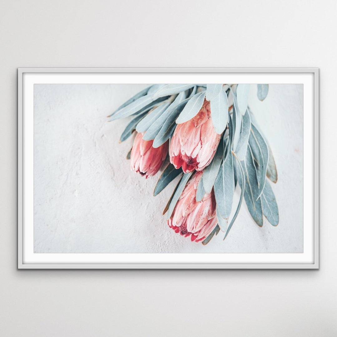 Protea Bunch - Australian Native Eucalyptus Art Print Stretched Canvas Wall Art - I Heart Wall Art