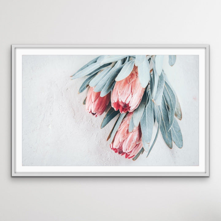 Protea Bunch - Australian Native Eucalyptus Art Print Stretched Canvas Wall Art - I Heart Wall Art
