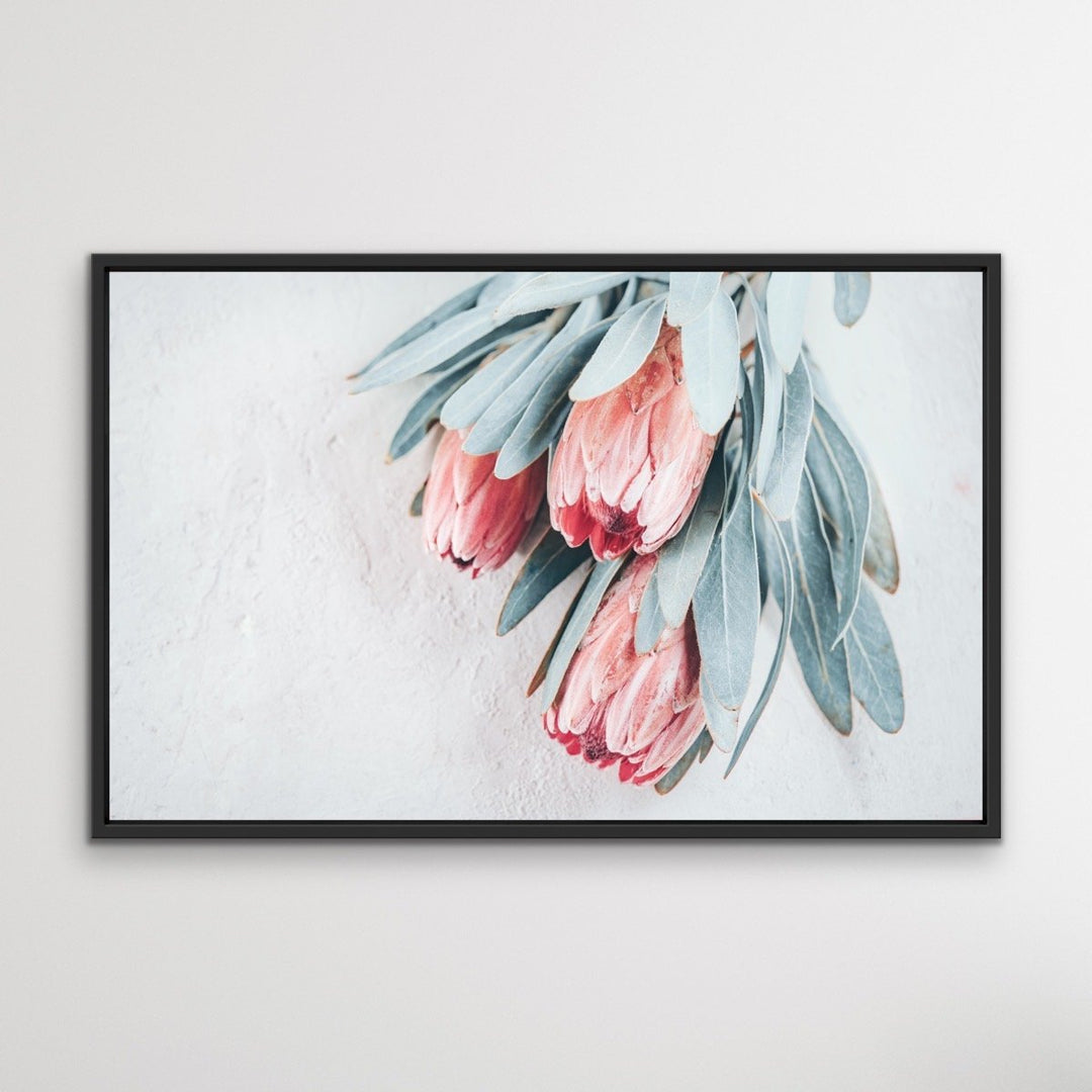 Protea Bunch - Australian Native Eucalyptus Art Print Stretched Canvas Wall Art - I Heart Wall Art