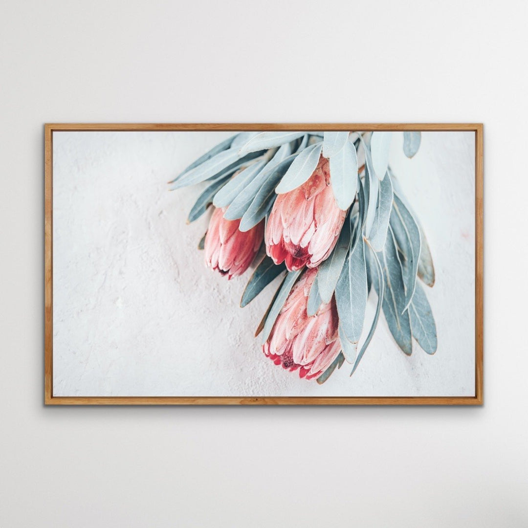 Protea Bunch - Australian Native Eucalyptus Art Print Stretched Canvas Wall Art - I Heart Wall Art