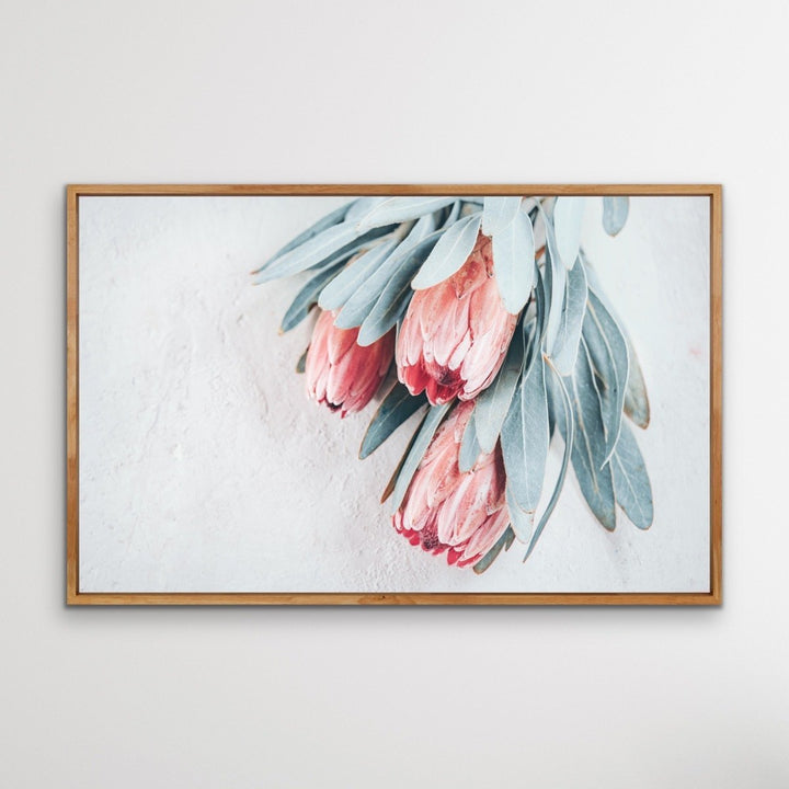 Protea Bunch - Australian Native Eucalyptus Art Print Stretched Canvas Wall Art - I Heart Wall Art