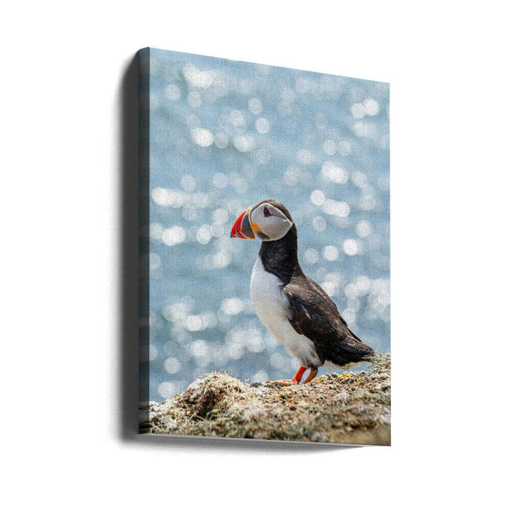 Puffin by the Sea - Stretched Canvas, Poster or Fine Art Print - I Heart Wall Art - Poster Print, Canvas Print or Framed Art Print