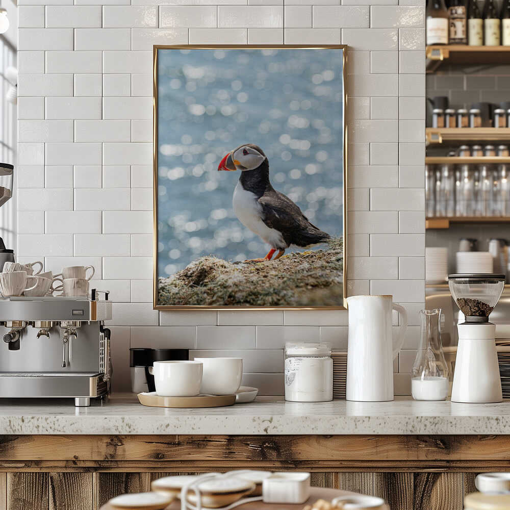 Puffin by the Sea - Stretched Canvas, Poster or Fine Art Print - I Heart Wall Art - Poster Print, Canvas Print or Framed Art Print