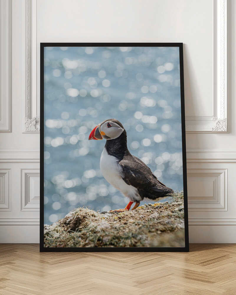 Puffin by the Sea - Stretched Canvas, Poster or Fine Art Print - I Heart Wall Art - Poster Print, Canvas Print or Framed Art Print