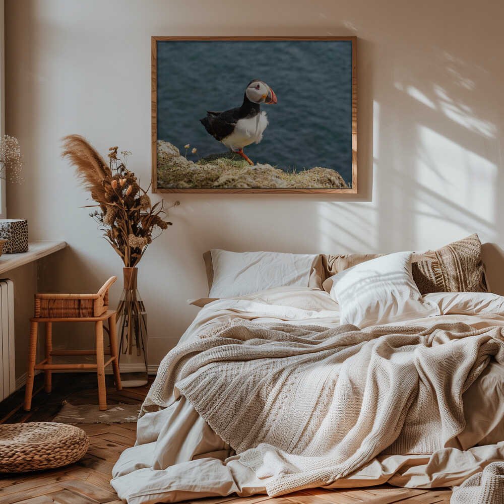 Puffin on Canna Island - Stretched Canvas, Poster or Fine Art Print - I Heart Wall Art - Poster Print, Canvas Print or Framed Art Print