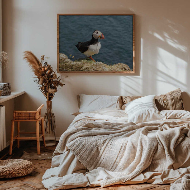 Puffin on Canna Island - Stretched Canvas, Poster or Fine Art Print - I Heart Wall Art - Poster Print, Canvas Print or Framed Art Print