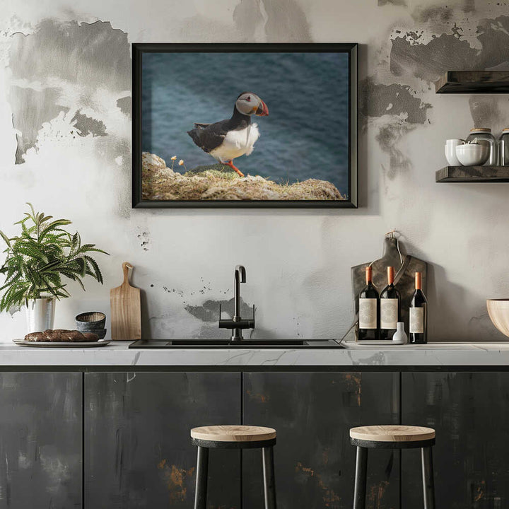 Puffin on Canna Island - Stretched Canvas, Poster or Fine Art Print - I Heart Wall Art - Poster Print, Canvas Print or Framed Art Print