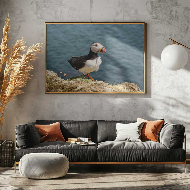 Puffin on Canna Island - Stretched Canvas, Poster or Fine Art Print - I Heart Wall Art - Poster Print, Canvas Print or Framed Art Print