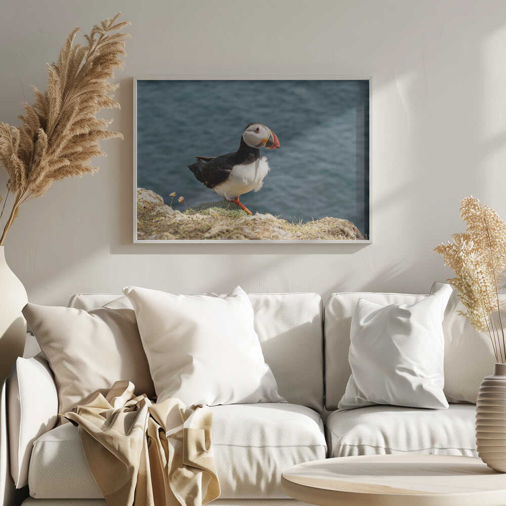 Puffin on Canna Island - Stretched Canvas, Poster or Fine Art Print - I Heart Wall Art - Poster Print, Canvas Print or Framed Art Print