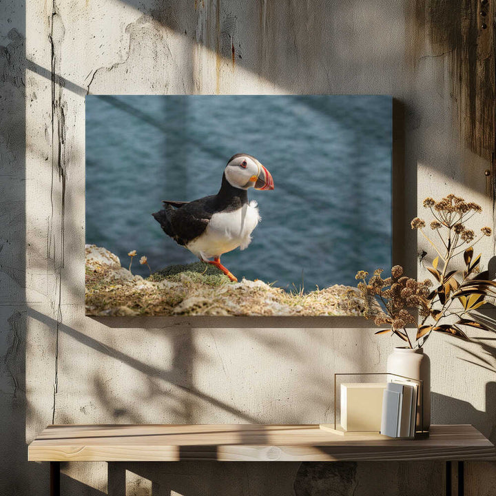 Puffin on Canna Island - Stretched Canvas, Poster or Fine Art Print - I Heart Wall Art - Poster Print, Canvas Print or Framed Art Print