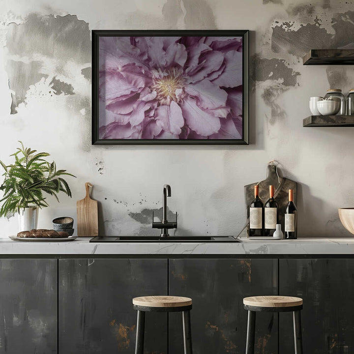 Purple Petal Bloom - Floral Photographic Stretched Canvas Poster or Fine Art Print