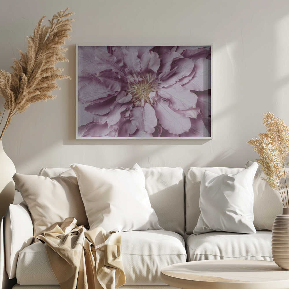 Purple Petal Bloom - Floral Photographic Stretched Canvas Poster or Fine Art Print