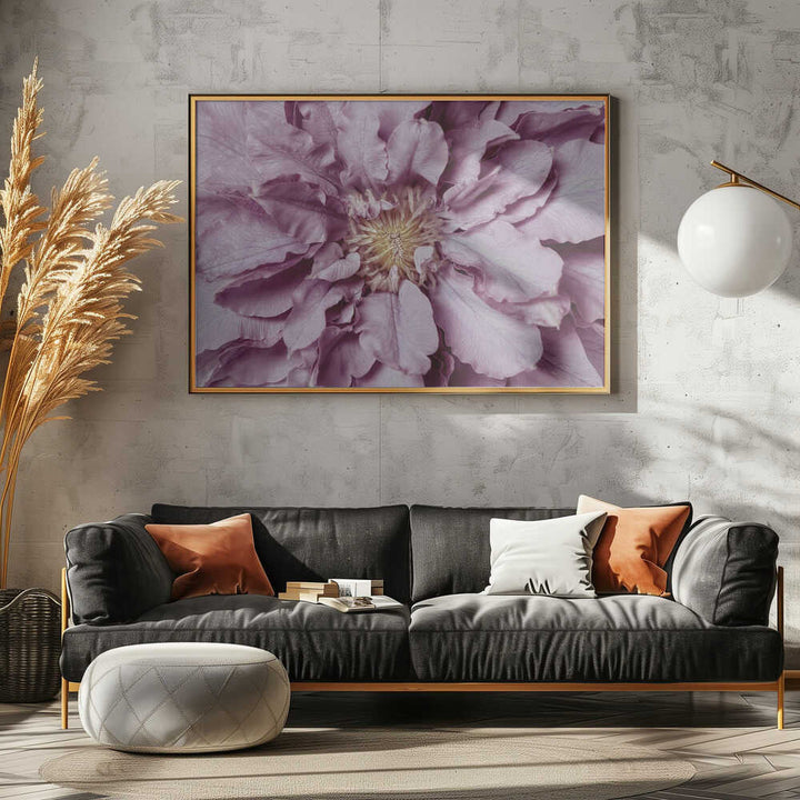 Purple Petal Bloom - Floral Photographic Stretched Canvas Poster or Fine Art Print