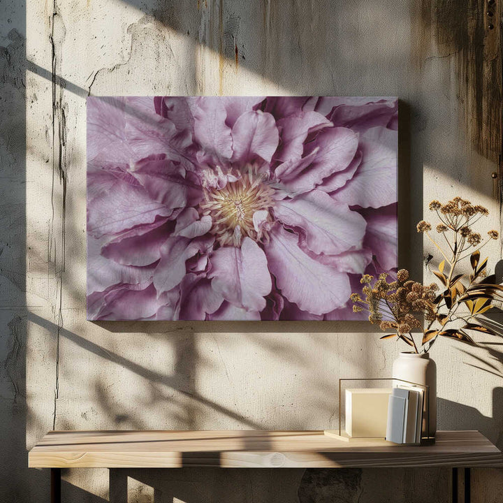 Purple Petal Bloom - Floral Photographic Stretched Canvas Poster or Fine Art Print