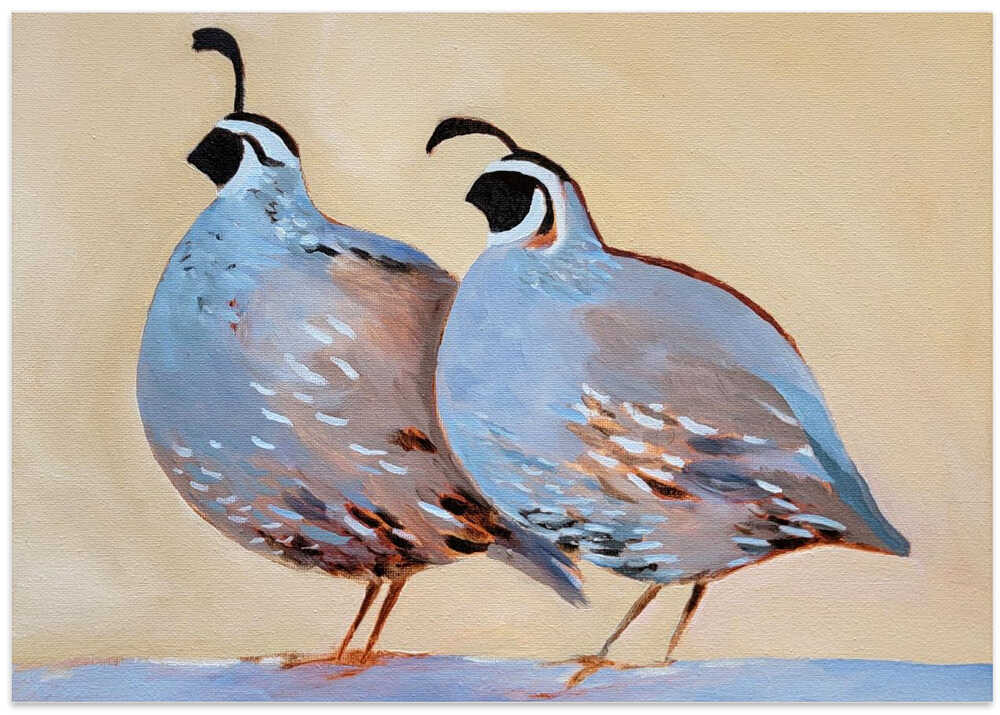 Quail 25 - Stretched Canvas, Poster or Fine Art Print - I Heart Wall Art - Poster Print, Canvas Print or Framed Art Print