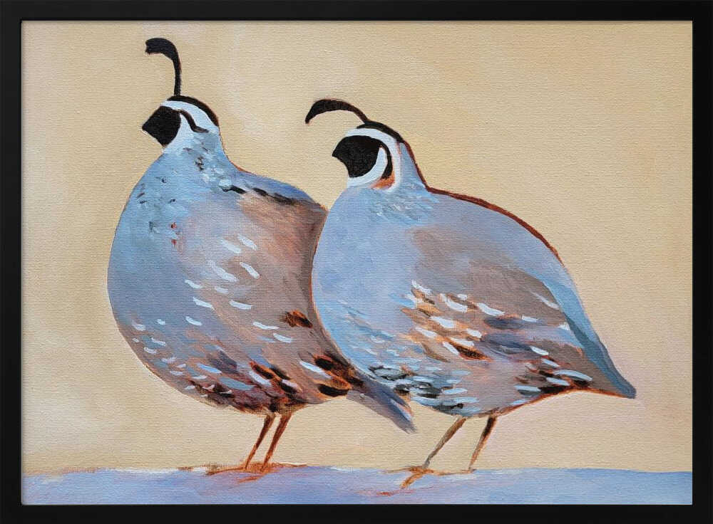 Quail 25 - Stretched Canvas, Poster or Fine Art Print - I Heart Wall Art - Poster Print, Canvas Print or Framed Art Print