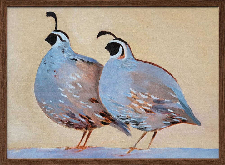 Quail 25 - Stretched Canvas, Poster or Fine Art Print - I Heart Wall Art - Poster Print, Canvas Print or Framed Art Print