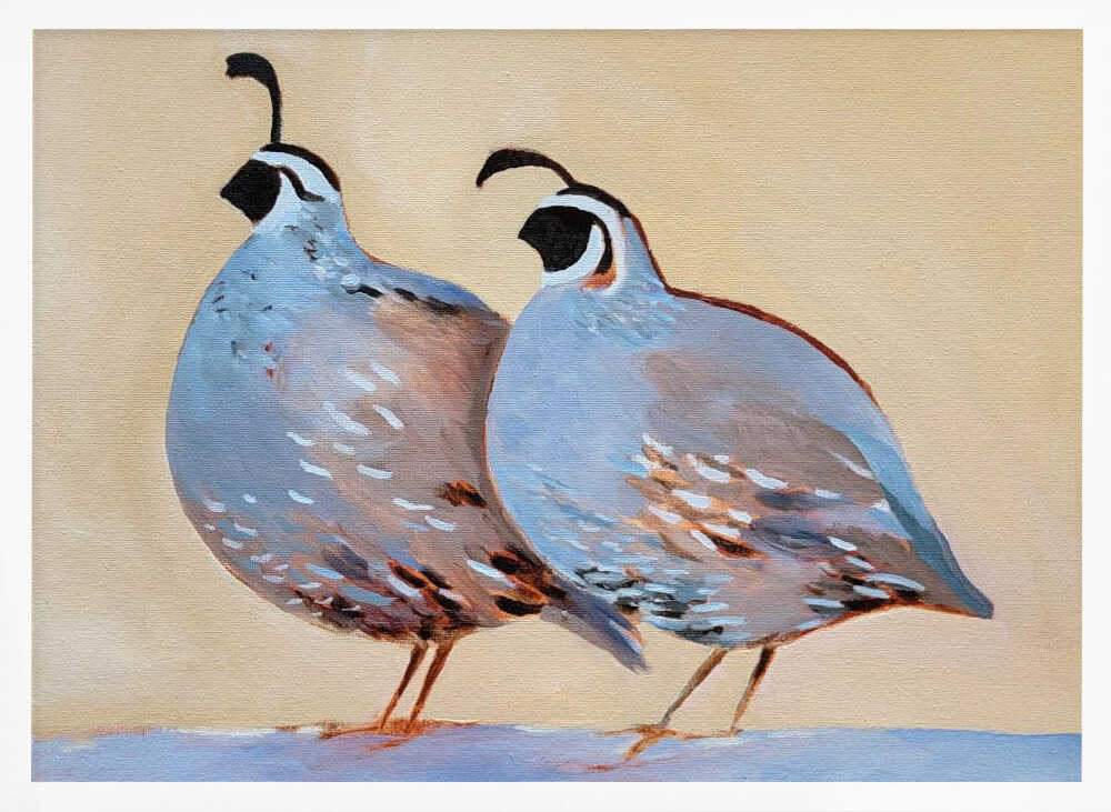 Quail 25 - Stretched Canvas, Poster or Fine Art Print - I Heart Wall Art - Poster Print, Canvas Print or Framed Art Print